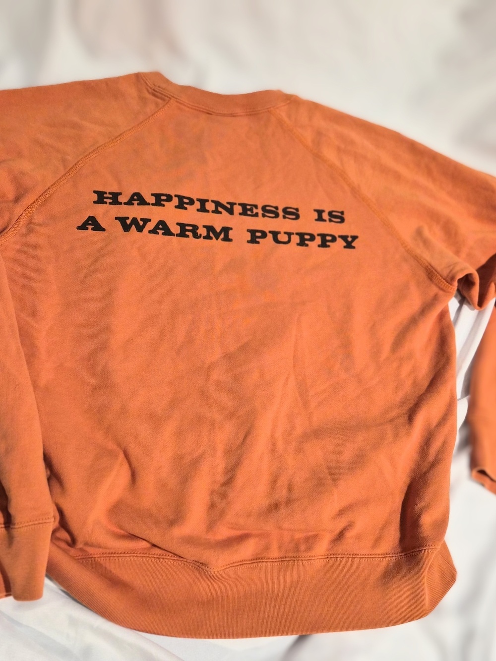 Peanuts x Uniqlo UT "Happiness is a Warm Puppy" Sweatshirt - Picture 6 of 6